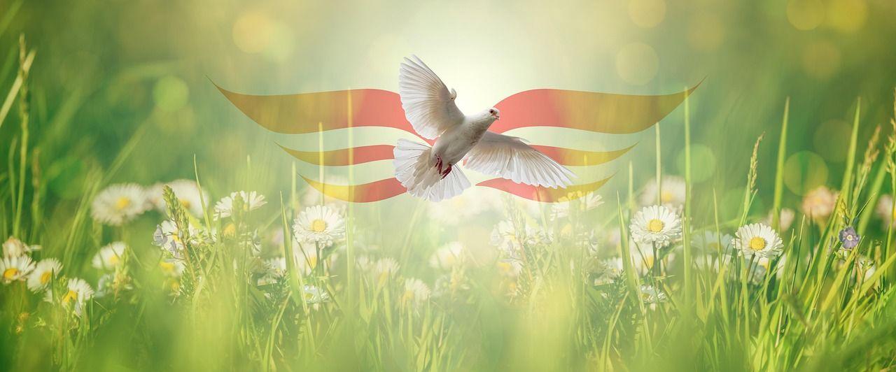 Pfingstgottesdienst mit der IBC